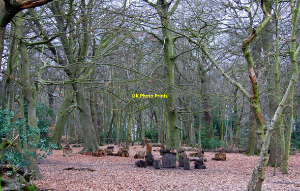 Photo 6"x4" Eastham Country Park Eastham Ferry c2010