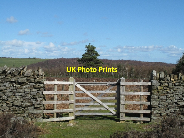 Photo 6"x4" Gate at end of Bridleway Bedburn c2010