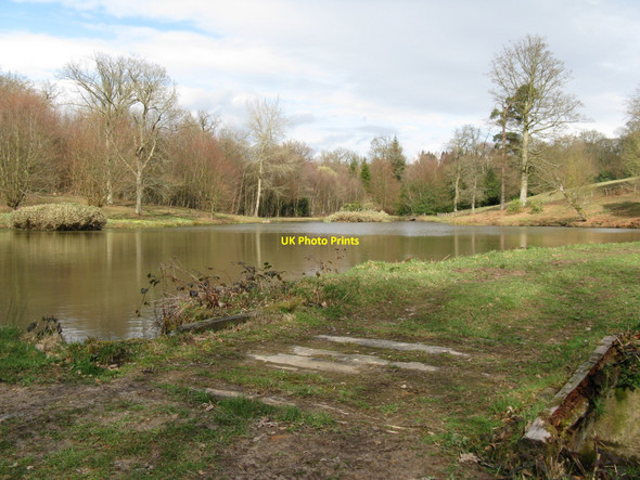 Photo 6"x4" Pond near Twyford Farm Wych Cross c2010