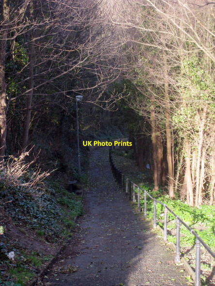 Photo 6"x4" Footpath to Croft Road Hastings\/TQ8110 c2010