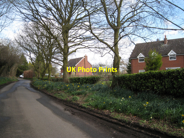 Photo 6"x4" Modern houses, Waste Green Waste Green c2010