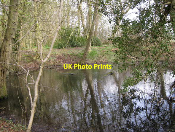 Photo 6"x4" Pond in woodland, Haseley Haseley c2010