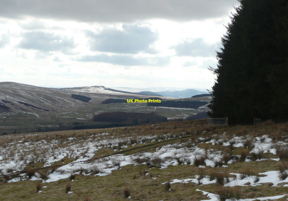 Photo 6"x4" Rough grazing beside forest Buchanty c2010