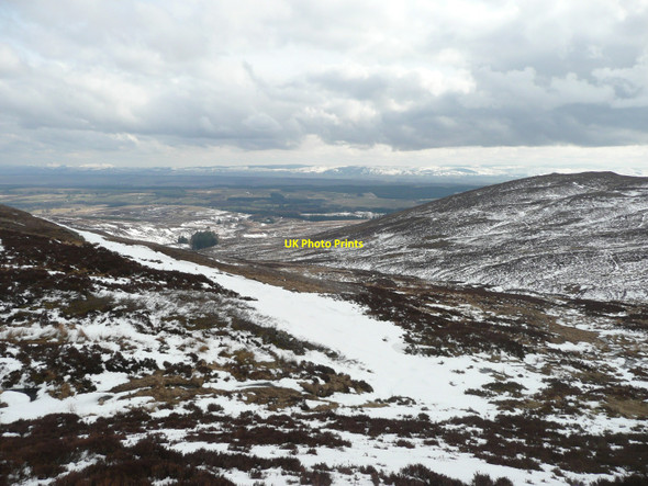 Photo 6"x4" Grouse moor east of Craig na Hash Buchanty c2010