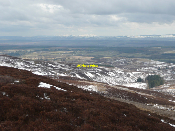 Photo 6"x4" Heather moors Buchanty c2010