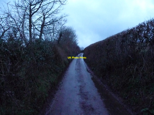 Photo 6"x4" Mid Devon : Country Road Tiverton\/SS9512 c2010