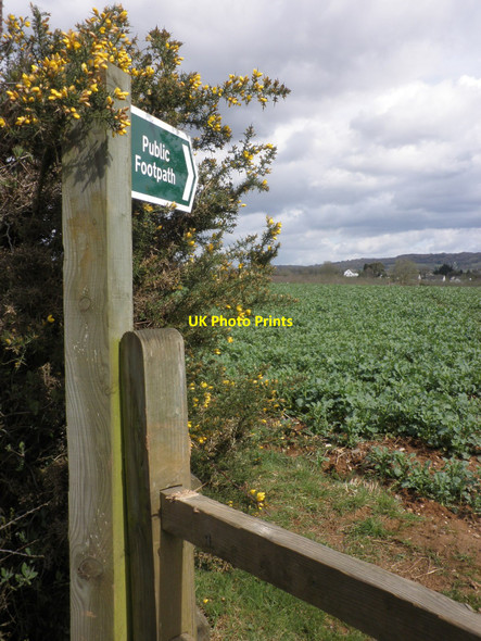 Photo 6"x4" Public footpath to Payhembury Payhembury c2010