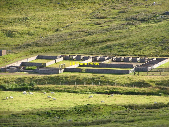 Photo 6"x4" Sheepfold below Hill of Skeomire Mail c2007