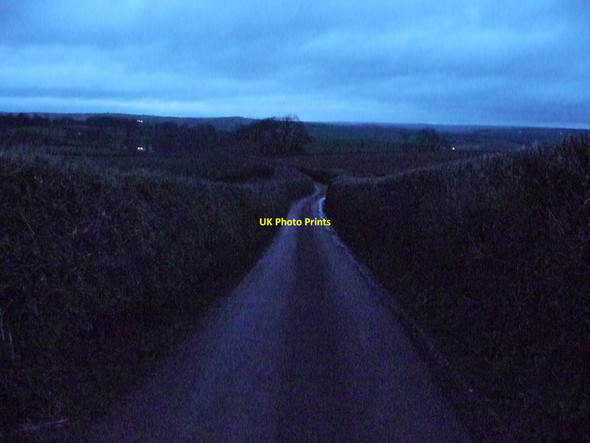 Photo 6"x4" Mid Devon : Countryside Road Calverleigh c2010