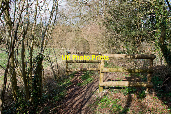 Photo 6"x4" Chicane on Wayfarer's Walk Dean\/SU5619 c2010
