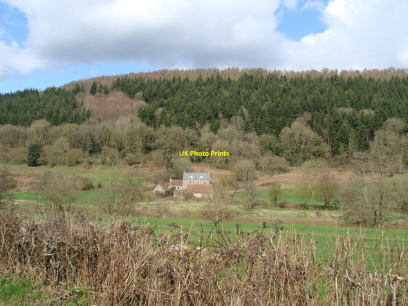 Photo 6"x4" Wyeseal Farm, across the Wye from near Whitebrook The Fence c2010
