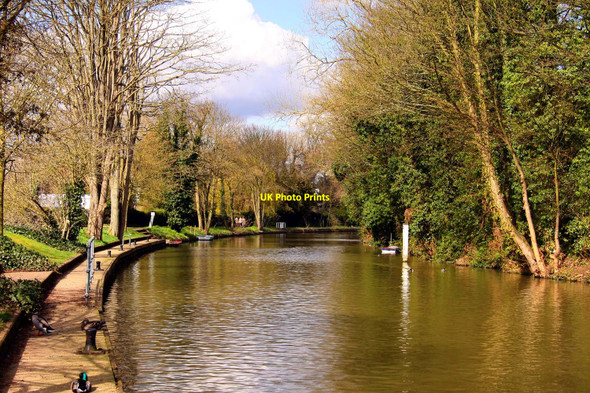 Photo 6"x4" The River Thames in Maidenhead Maidenhead Court c2010 P1