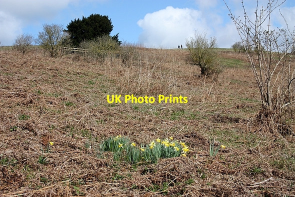 Photo 6"x4" New enclosures on Chase End Hill Chase End Street c2010