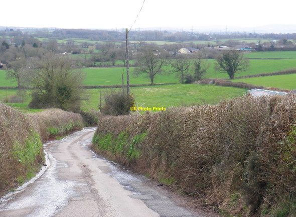 Photo 6"x4" View towards Channons Farm Westwood\/SY0198 c2010