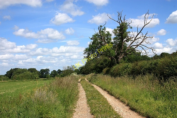 Photo 6"x4" Bridleway near Dayhouse Earl's Croome c2009