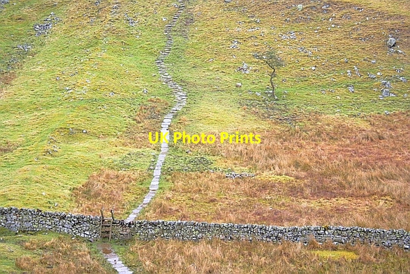 Photo 6"x4" King Arthur's Well Blenkinsopp Hall c2010