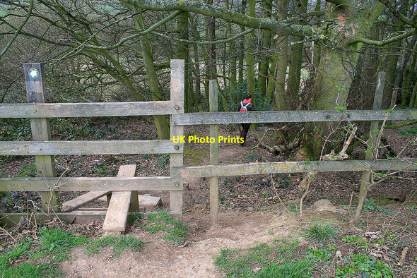 Photo 6"x4" Stile into Gorse Covert Breedon on the Hill c2010