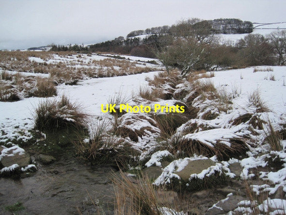Photo 6"x4" Black Cleugh near Wooley Scar Allendale Town c2010
