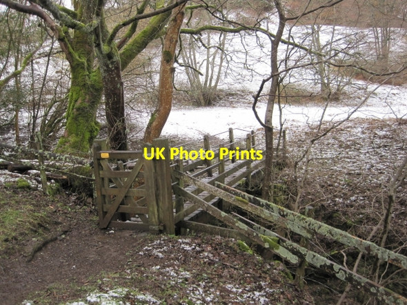 Photo 6"x4" Footbridge over Steel Burn Allendale Town c2010