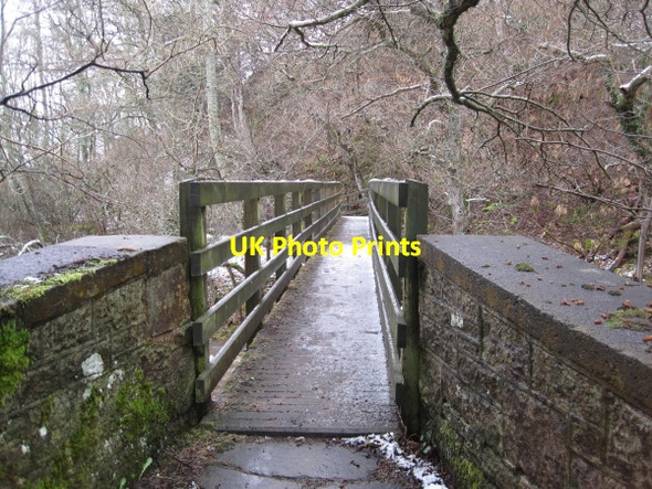 Photo 6"x4" Footbridge over the River East Allen  leading to Peckriding Allendale Town c2010