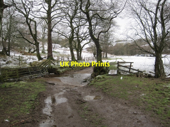 Photo 6"x4" Ford at Park Allendale Town c2010