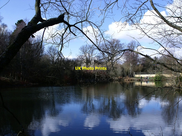 Photo 6"x4" Craigend Pond, Mugdock Estate Mugdock c2010