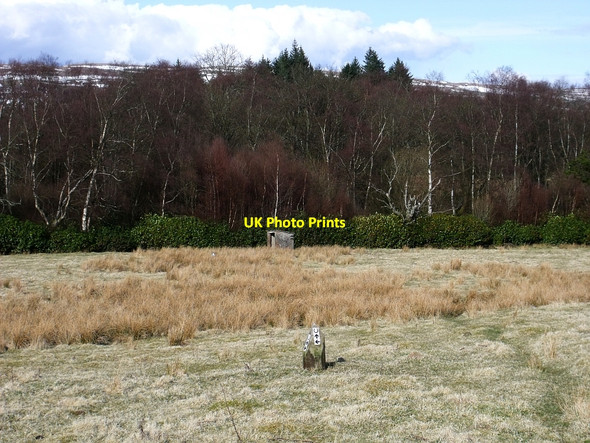 Photo 6"x4" Khyber Field, Mugdock Mugdock c2010