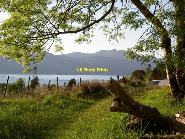 Photo 6"x4" Footpath through Appin House grounds Portnacroish c2005