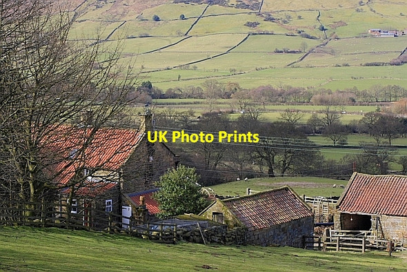 Photo 6"x4" Apple Tree Hurst Farm The Grange\/SE5796 c2010
