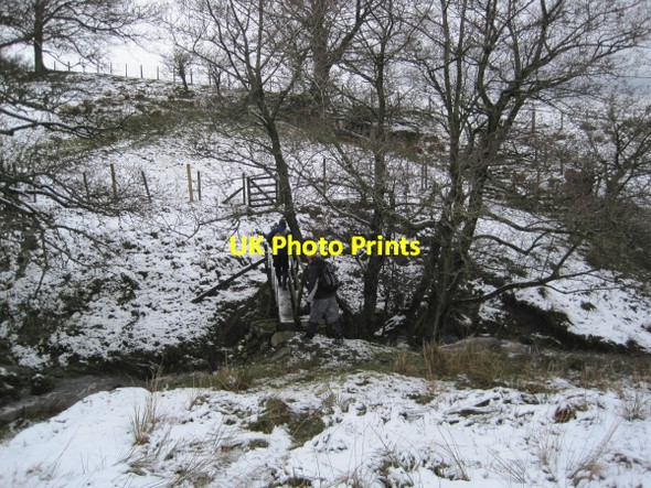 Photo 6"x4" Footbridge over Crowberry Burn Sinderhope c2010
