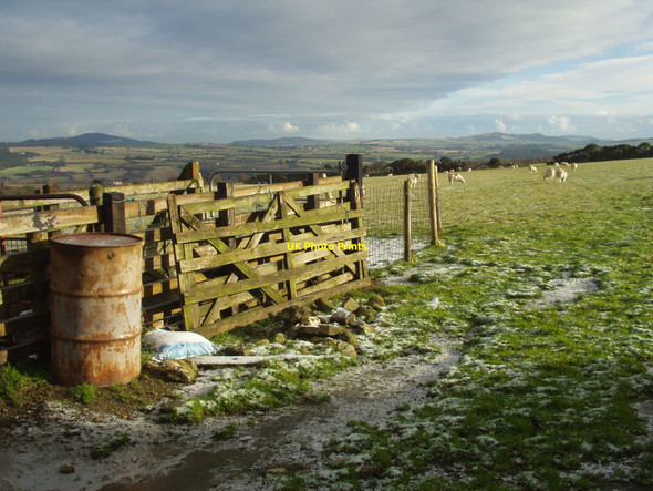Photo 6"x4" Ballyshane townland, County Wicklow Greenan\/T1487 c2004