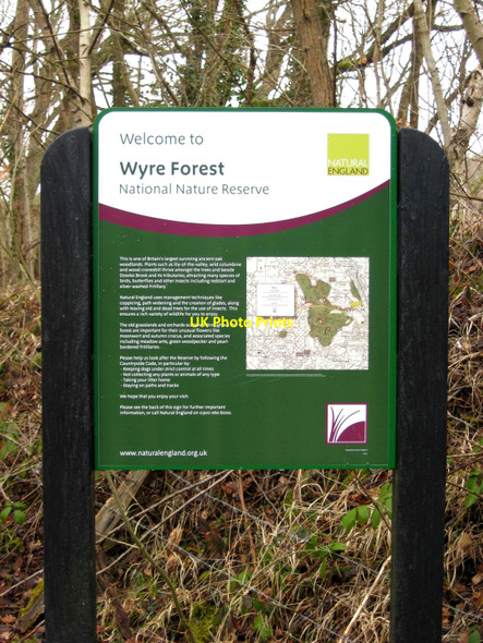 Photo 6"x4" Natural England information board in Wyre Forest Bewdley\/SO7875 c2010