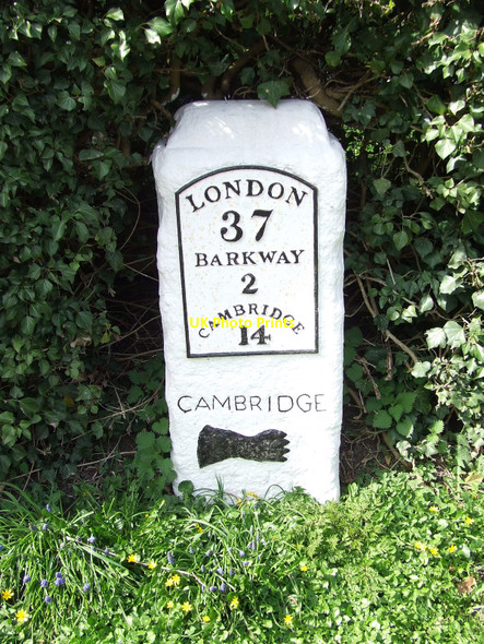Photo 6"x4" Old Milestone Barley\/TL4038 c2010 P1