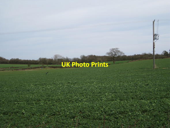 Photo 6"x4" Fields north of Abbey Farm Wroxhall c2010