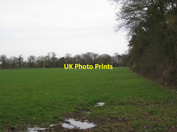 Photo 6"x4" Edge of a field north of Wroxall Abbey Wroxhall c2010