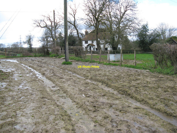 Photo 6"x4" The grass was greener on the other side Doomsday Green c2010