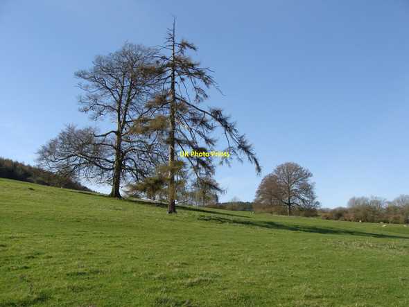 Photo 6"x4" Field near Hamwood, Christon Christon c2010