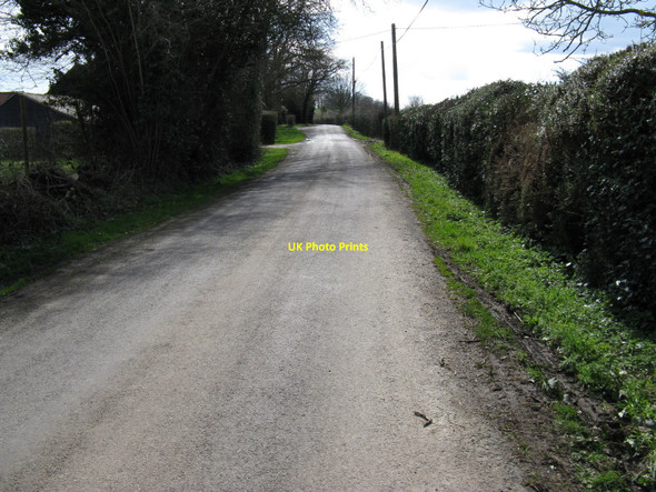 Photo 6"x4" South on Prings Lane Monk's Gate c2010