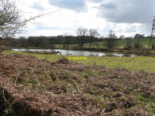 Photo 6"x4" Pond by the side of Newell's Rough Crabtree\/TQ2225 c2010