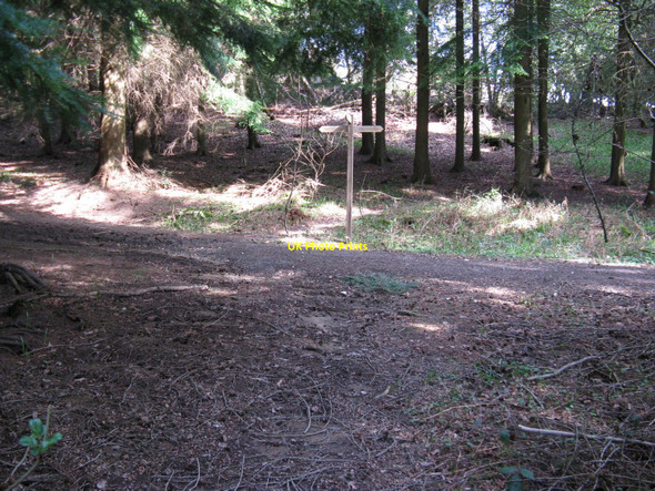 Photo 6"x4" Bridleway junction west of South Lodge Crabtree\/TQ2225 c2010