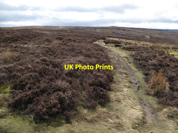 Photo 6"x4" The Carriers Way looking south west  from Birkside Fell Baybridge\/NY9550 c2010