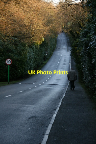 Photo 6"x4" Road into Gosforth Park, Newcastle Hazlerigg c2009