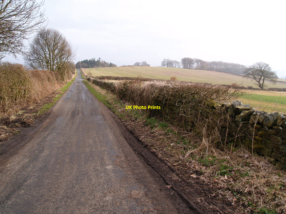 Photo 6"x4" Road from Fawcett Hill to Sandhoe Sandhoe c2010