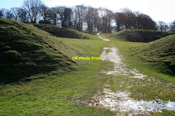 Photo 6"x4" Path into Badbury Rings Hemsworth\/ST9605 c2010