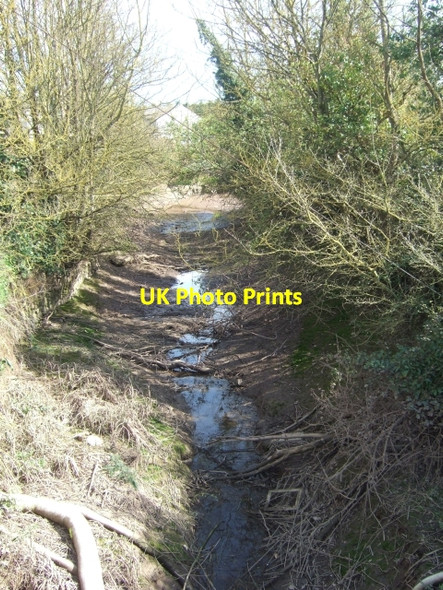 Photo 6"x4" Stream opposite Darts Farm Clyst St George c2010