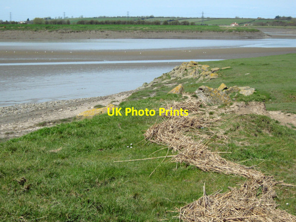 Photo 6"x4" High water mark, River Parrett Walpole\/ST3041 c2010