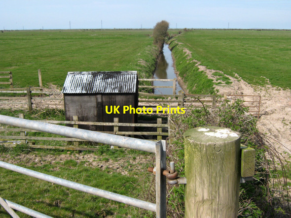 Photo 6"x4" Rhyne on Pawlett Hams Combwich c2010