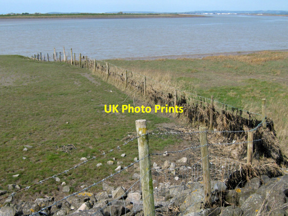 Photo 6"x4" The Parrett riverbank Pawlett Hill c2010