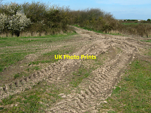 Photo 6"x4" Field entrance, Dodd's Farm, Pawlett Pawlett Hill c2010