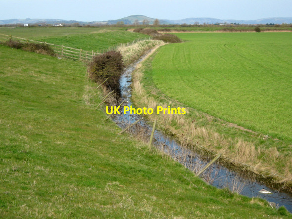 Photo 6"x4" Rhyne near Stretcholt Pawlett Hill c2010